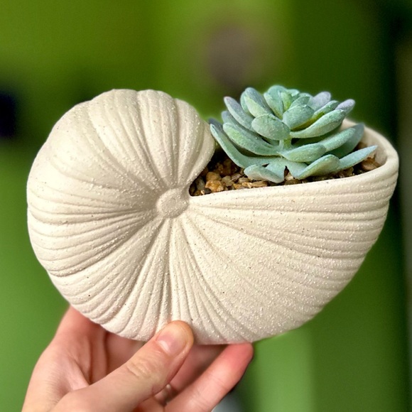 Other - Rustic Nautical Pottery Spiral Structure Seashell Faux Succulent Planter Art